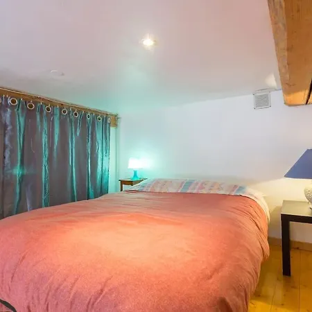 Beau Canut A Cote Du Gros Cailloux Apartment Lyon