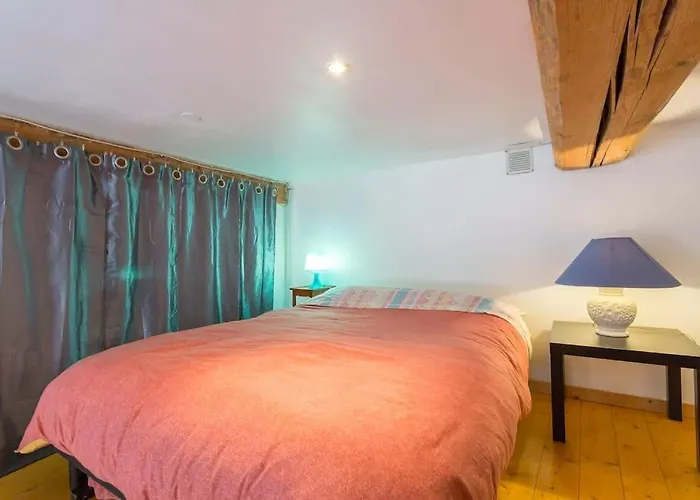 Beau Canut A Cote Du Gros Cailloux Apartman Lyon